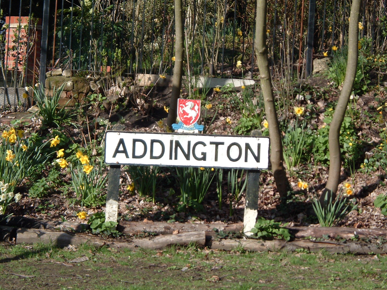 2004_0404addington0013.jpg
